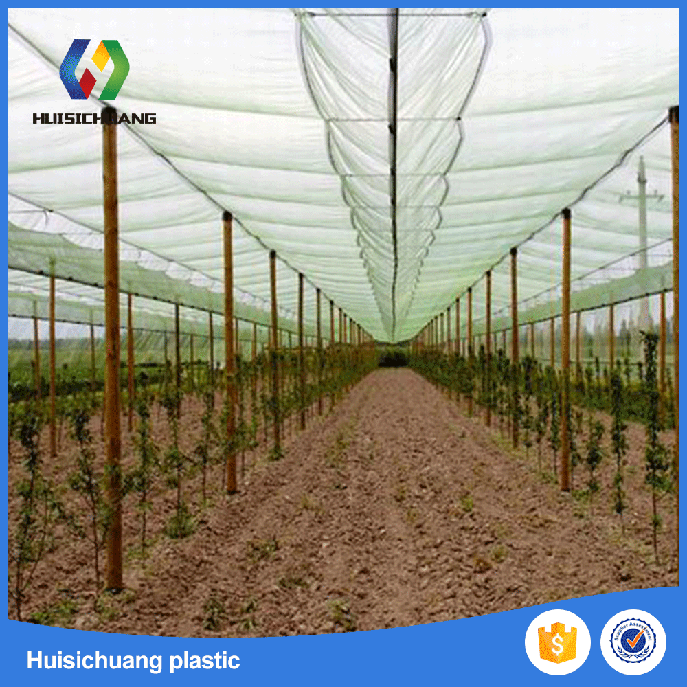 BSCI工厂果树育苗冰雹网 葡萄园防冰雹网 高品质防冰雹网