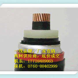 南网供应商电缆，ZR-YJLW03-Z 64/110-1x150（图片）