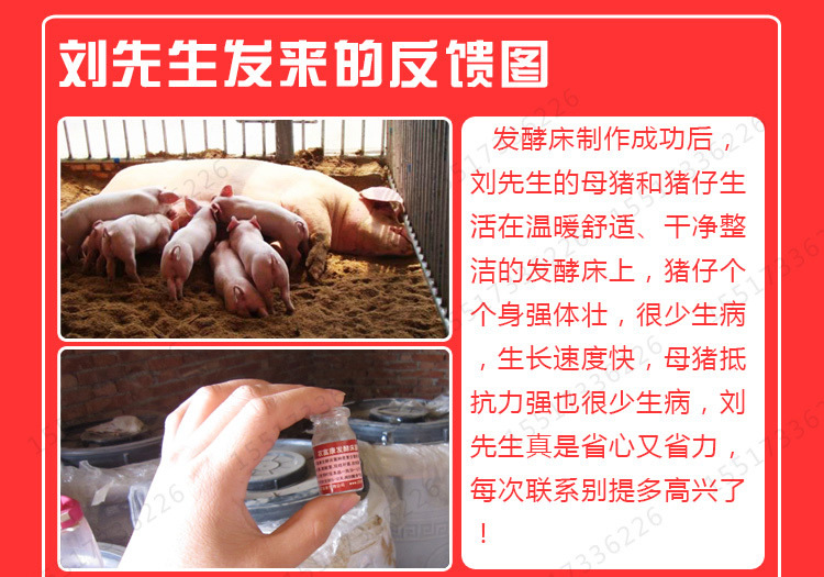 发酵床养猪客户案例