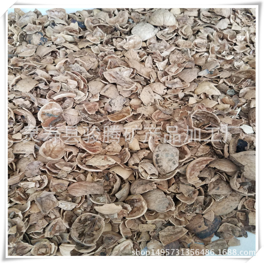 中果皮,外果皮中果皮内果皮,内果皮(第11页)_大山谷图库