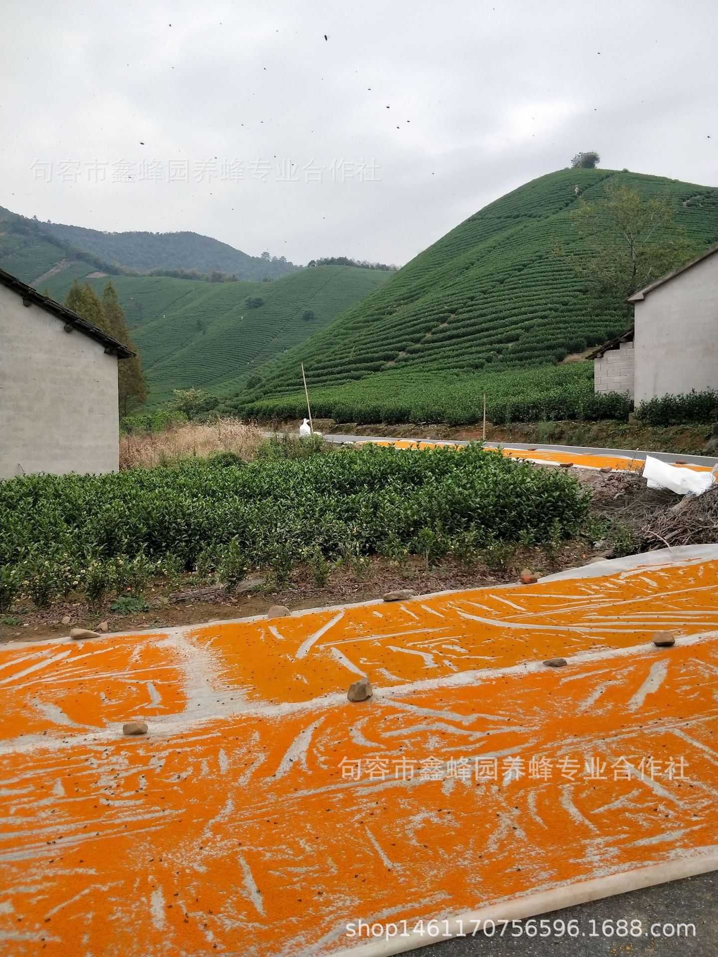 QQ图片20181125210806