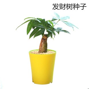 ɢ�b�lؔ��N�� �҃����� ���|�����С�� �Z���X �����N�������l