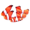 Clownfish