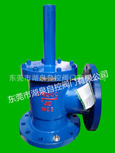 �S��ֱ�NGQSSDF-40IDˮ�ϵ��yDN200����40KG�����T�ˮ�ϵ��y