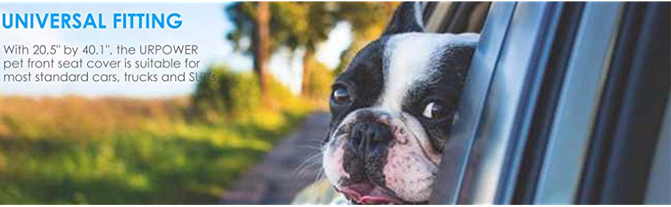 910d97e8-8bf2-4b5a-a76e-078482