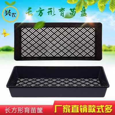 长方形育苗托盘 多肉育苗盘 穴盘托盘 移苗盘 铁皮石斛育苗盘|ms