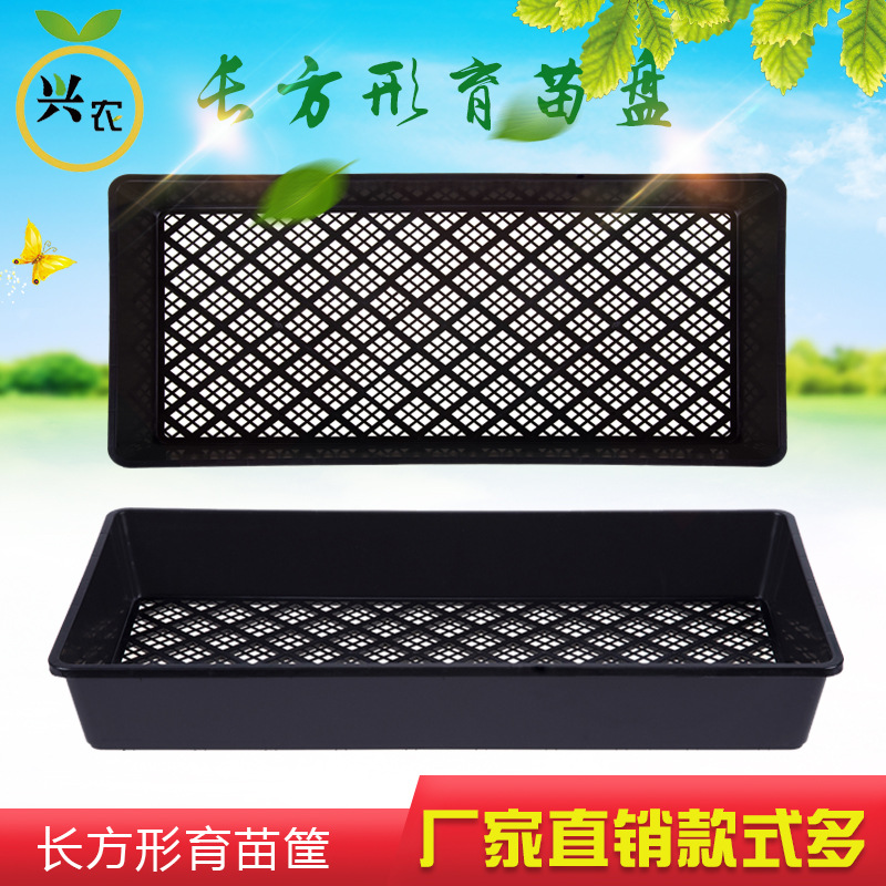 长方形育苗托盘 多肉育苗盘 穴盘托盘 移苗盘 铁皮石斛育苗盘|ms