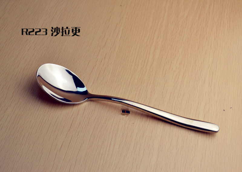 R223 沙拉更_副本