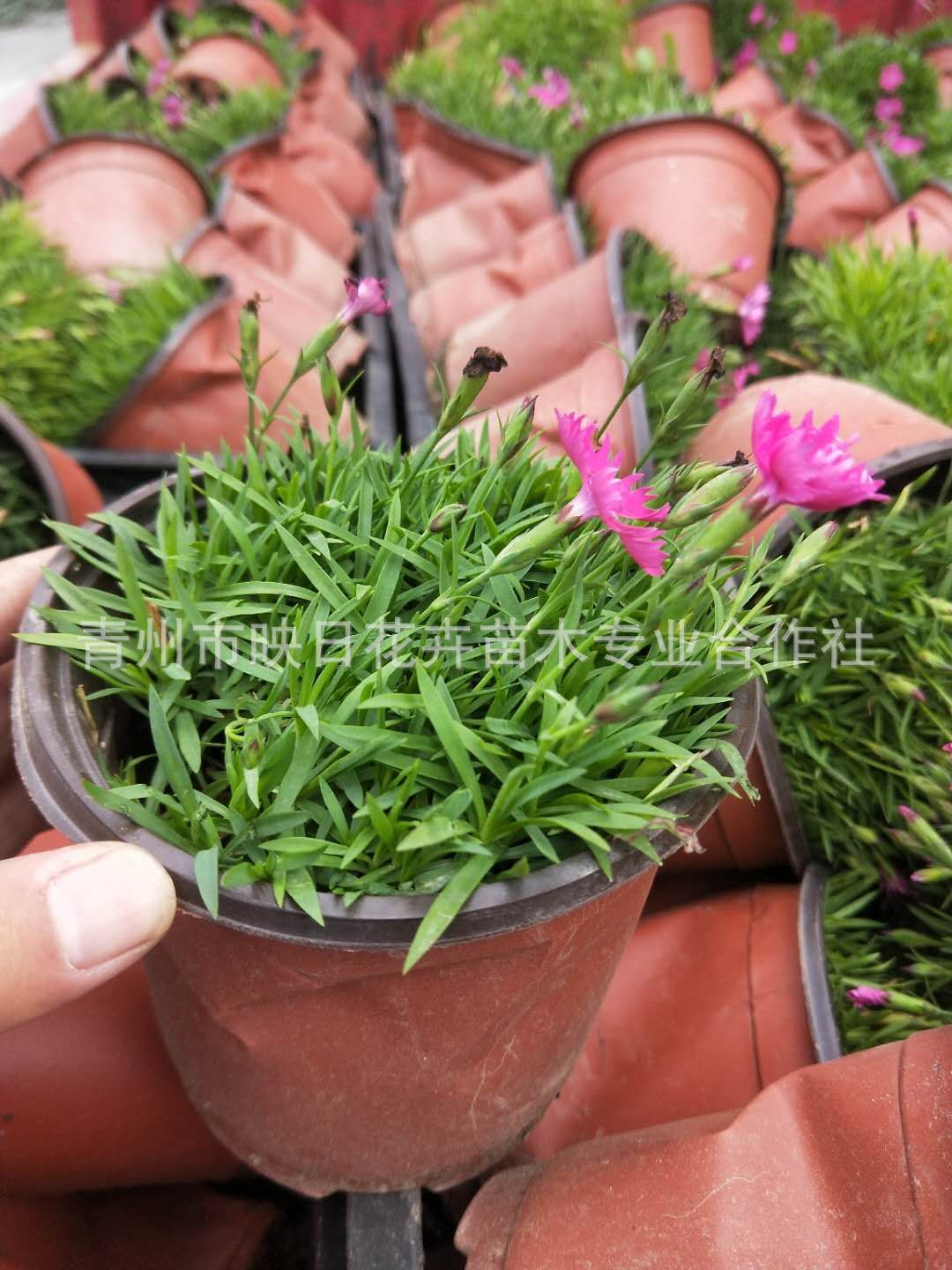 1}X{[F%2)XATN8PWB2N%{BU