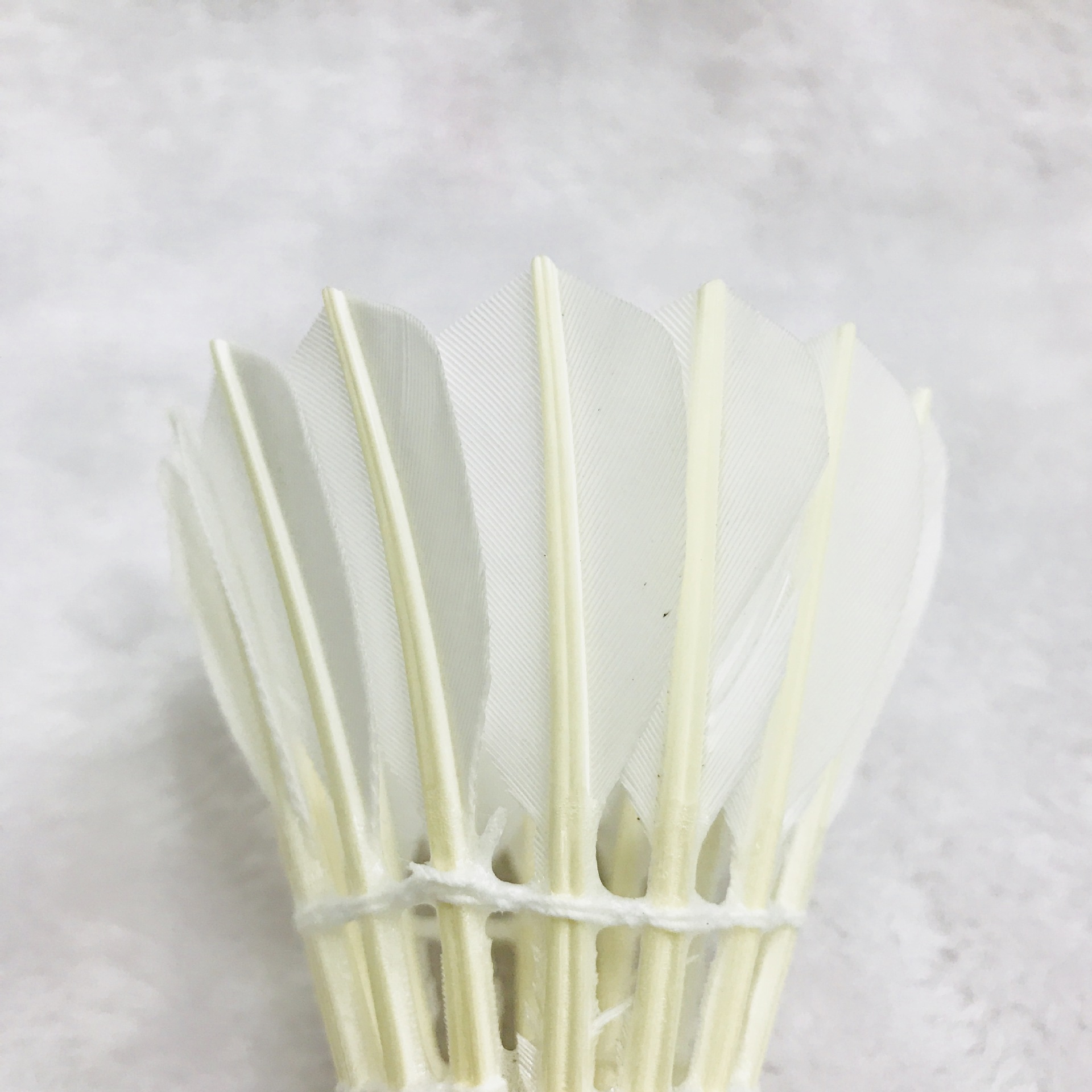 IMG_3106(20180305-111022)