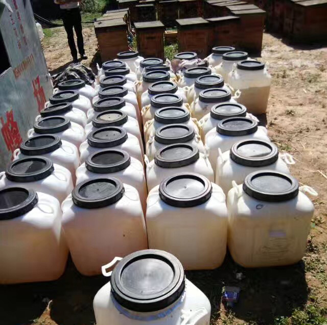 方源75KG广西特产农家特产桶装厂家直销批发原料荔枝洋槐百花蜂蜜|ms