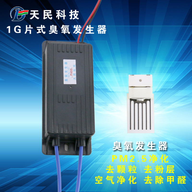 Supplying Ozone generator parts TM-PSCY-1G Chip Ozone generator Machine