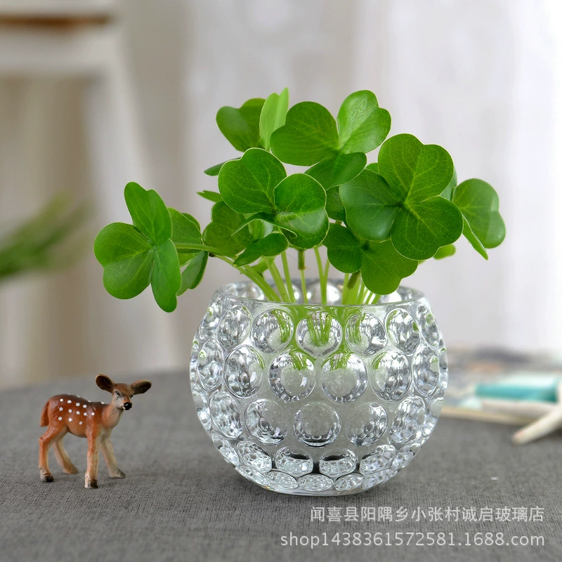 Утолщенная прозрачная круглая стеклянная ваза для гидропоники для растений мясистый цветочный горшок стекло украшение дома орнамент подсвечник цветочный набор