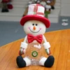 Christmas snowman 18219: 16*10*26cm