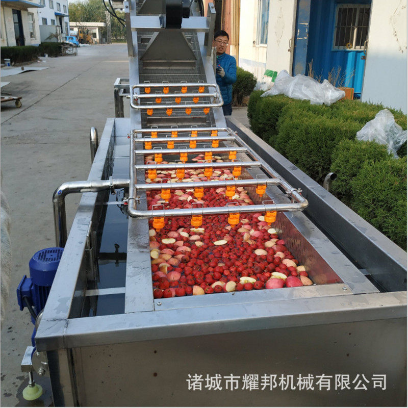 全自动葡萄清洗机 多功能葡萄气泡式清洗机 水果气泡清洗设备