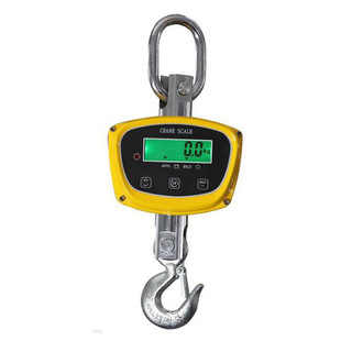 ���l�{�����h�Q��XZϵ��ֱҕʽ��ӵ���  XZ-GGC-PRO 500kg~2t