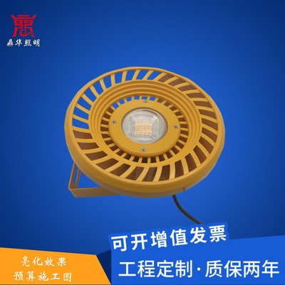 吊式LED防爆灯50w100w户外工程施工地射树亮化照明防水圆形投光灯|ru