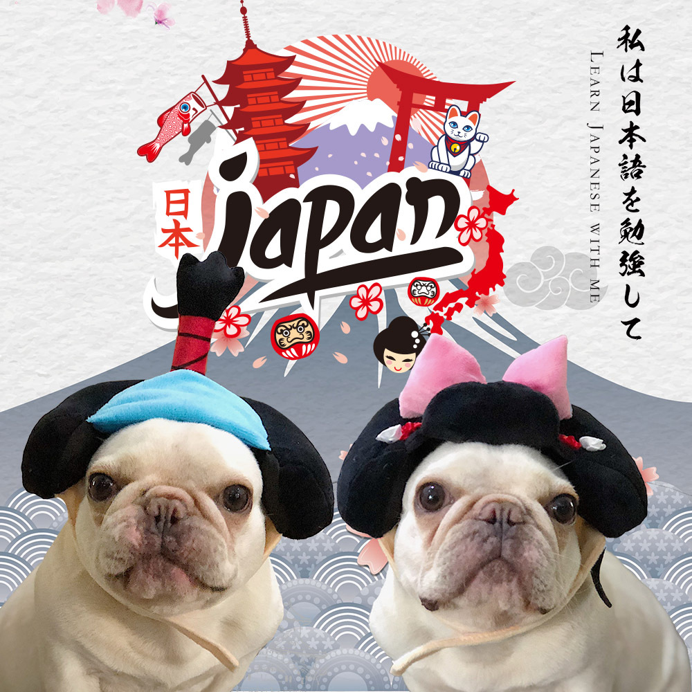 日本宠物帽子狗狗头饰饰品猫咪和服法斗衣服柴犬衣服柯基衣服 阿里巴巴