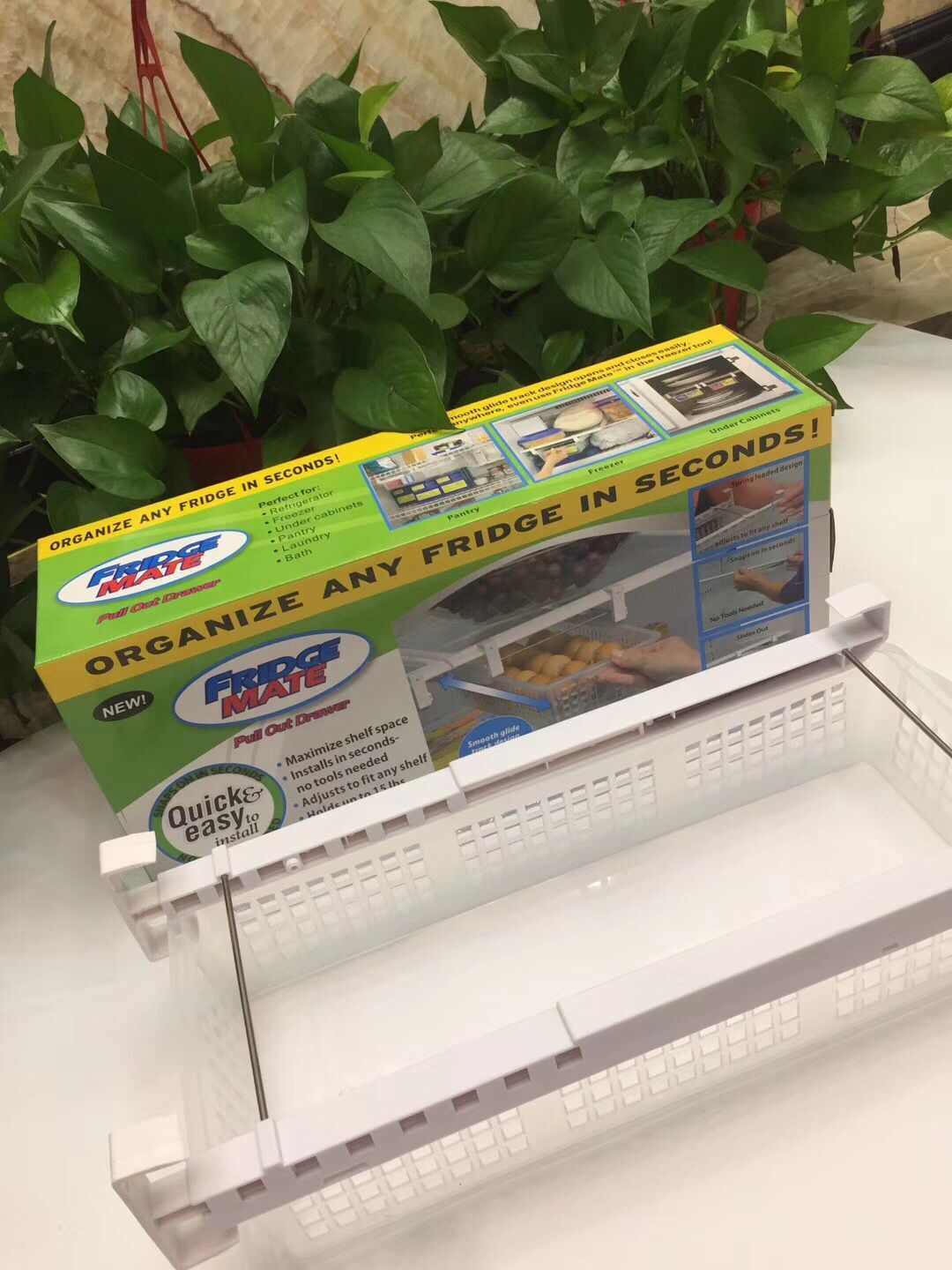 QQ图片20180525085306