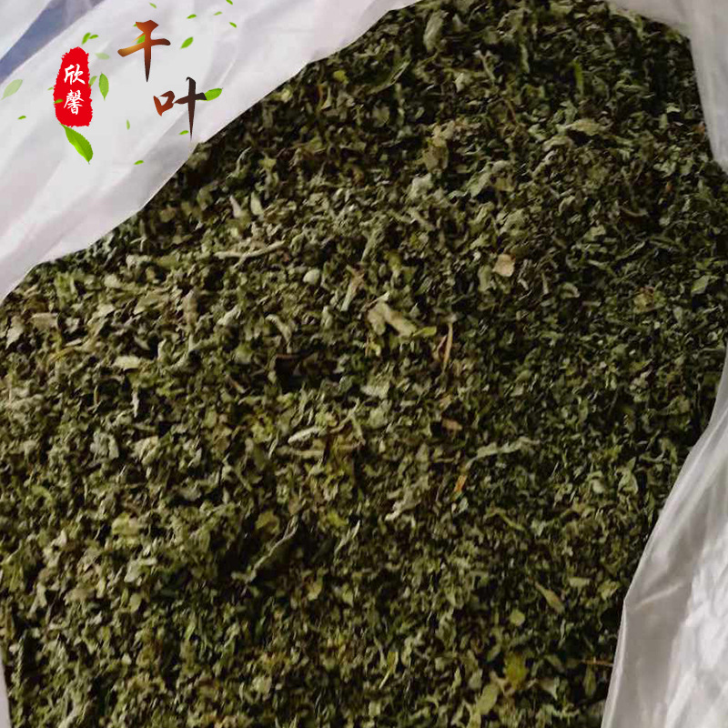 宠物猫咪零食 粉末干叶猫薄荷  猫猫玩具填充物猫薄荷