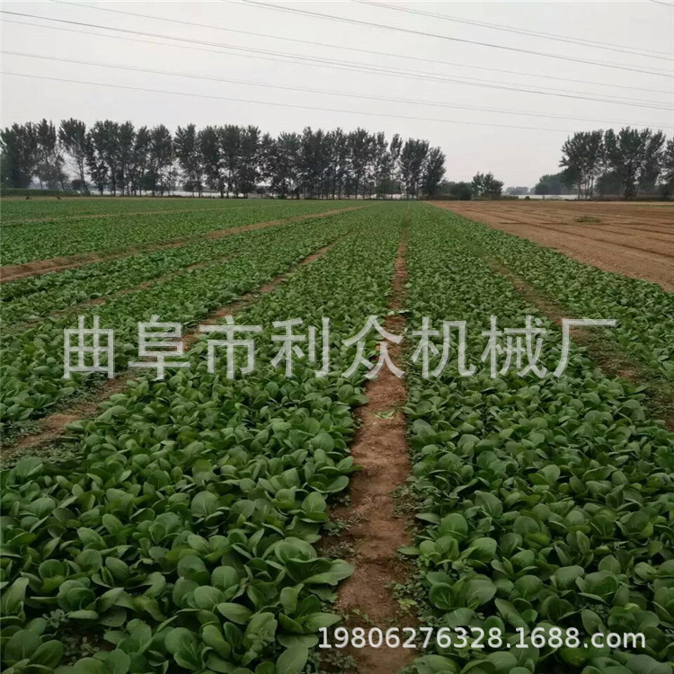 大庆 娃娃菜 芹菜 芥菜 蔬菜播种机 买蔬菜播种机送模具