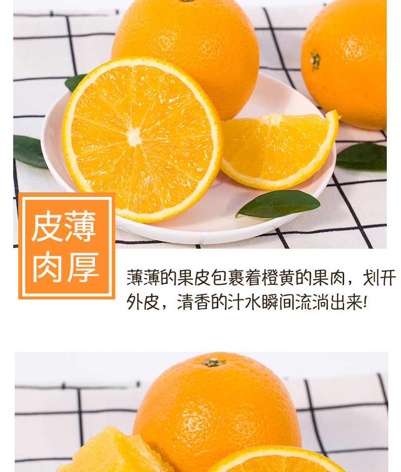 详情页5.jpg