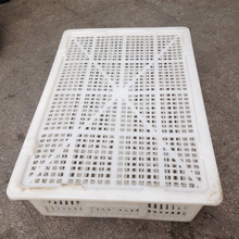 �L���δ�̖�������D��W�۰�ɫ���r�r���Bֳ����ׯB�Ӻ��w�z��