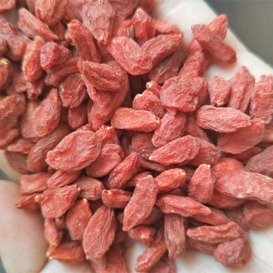 佑康泰枸杞 250g/袋源头厂货地摊枸杞子宁夏 网红黑枸杞 宁夏枸杞