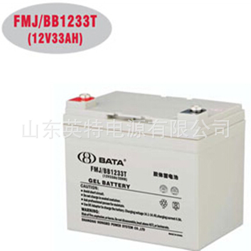 鸿贝蓄电池FM/BB1233T 12V33AH直流屏UPS消防应急电力风能系统用