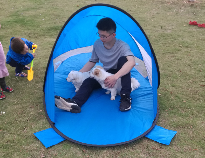Beach Tent Image 4