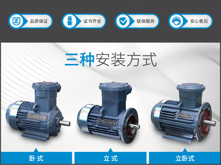 防爆电机-01_02.jpg