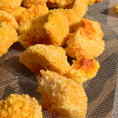 new goods Colloid Tremella Mushroom wholesale Ugly ears 500g Bagged personal Choice The