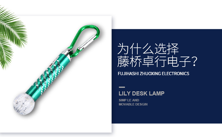 温州市鹿城区藤桥卓行电子厂_04