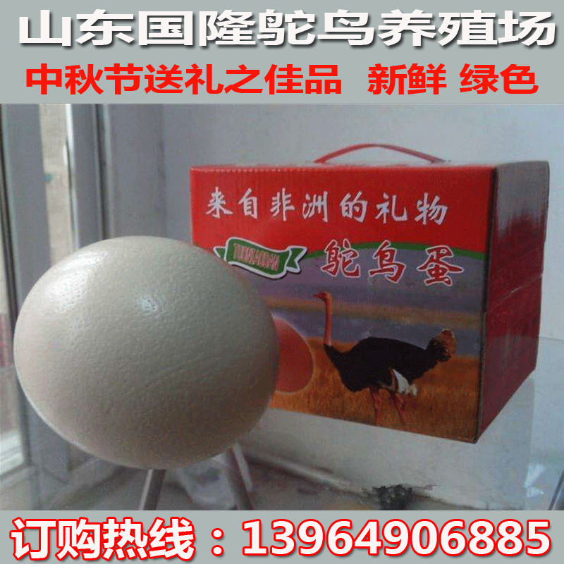 鸵鸟蛋价格_今日最新鸵鸟蛋价格行情走势