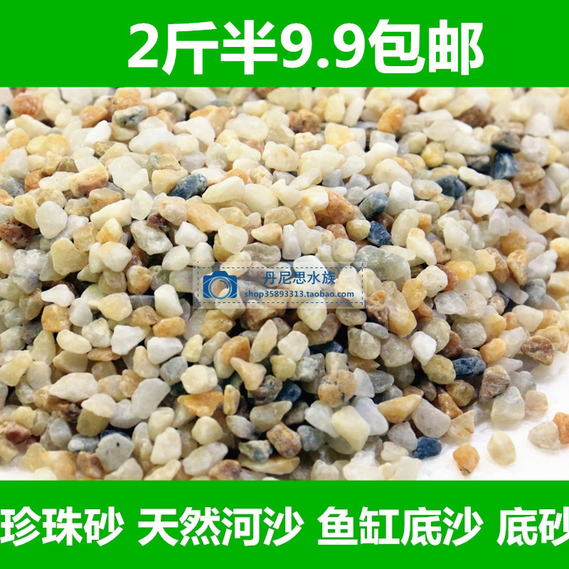 珍珠砂天然河沙鱼缸底沙造景水族箱造景装饰底砂乌龟缸装饰沙
