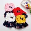 Autumn dress with sleeves, children's small princess costume, long sleeve, Korean style