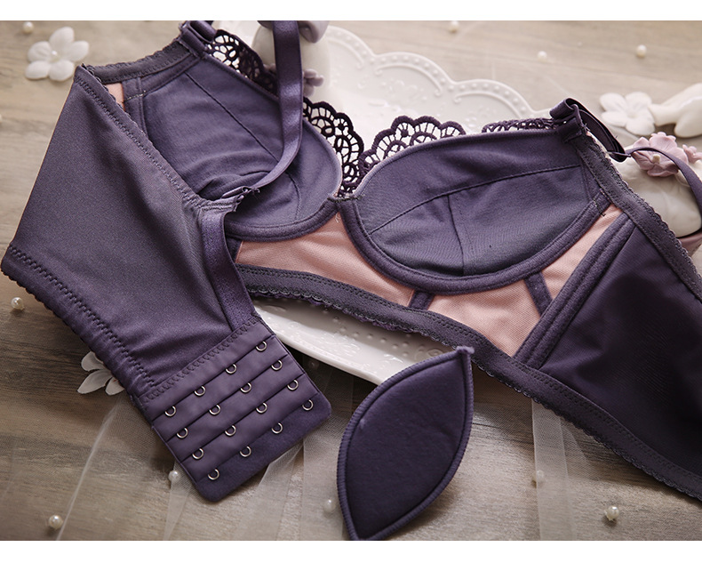 New Women's Bra Set Embroidered, Steel Ring Free, Thick, Sexy and Adjustable Underwear_voghion.com