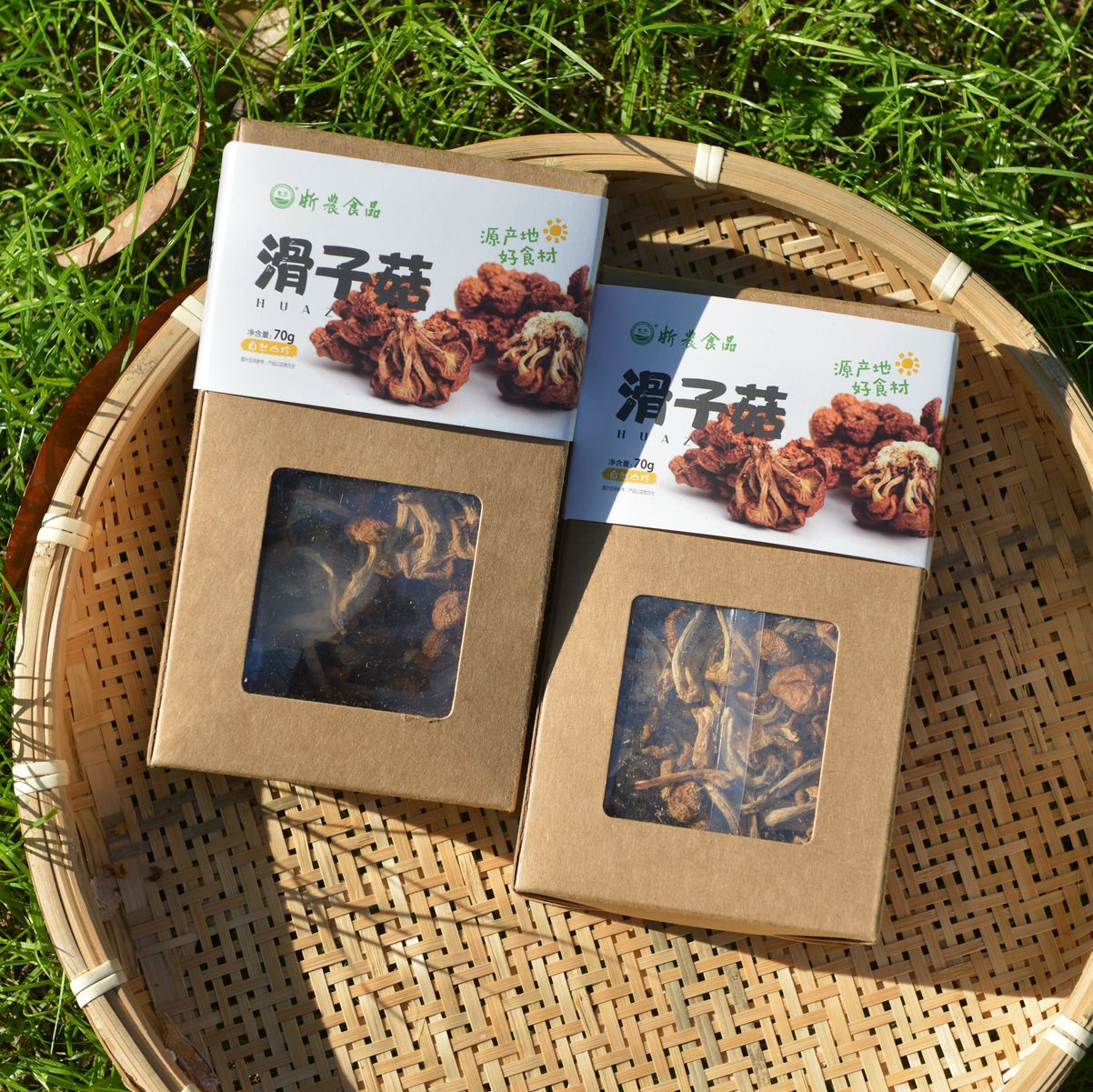【浙农干货】农家特产自然山珍70g密封包装批发零售干滑子菇