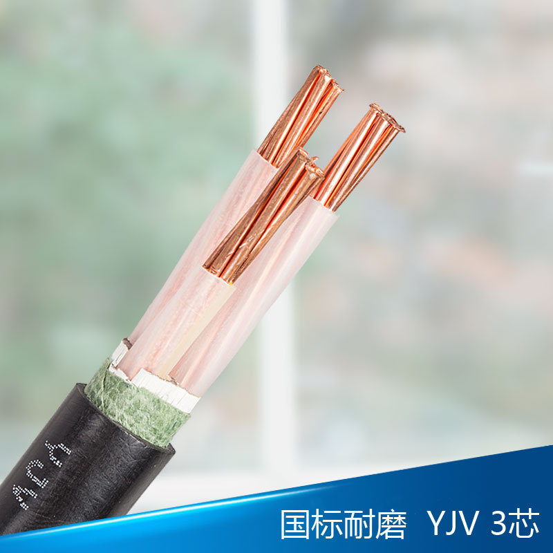 人民线缆 交联聚乙烯绝缘YJV 3*10足米 包检测国三芯工业电缆
