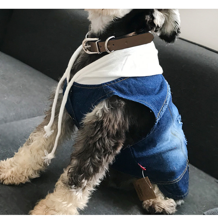 Pet Vest