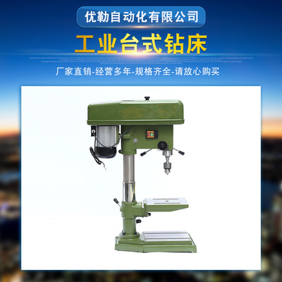 Manufactor Direct selling West Link brand new vertical Industry Desktop Drilling Z512-2/Z516 Industry Bench drill wholesale