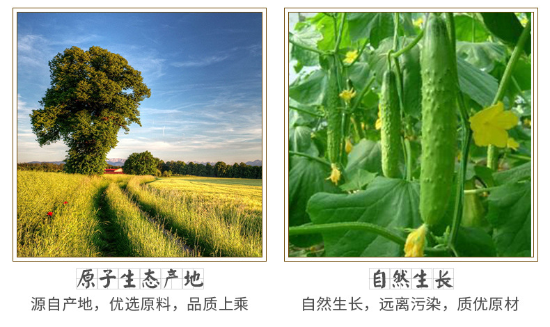 Roasted Cucumber Seeds Huang Gua Zi 500g Jilin Bulk Whole Food Ingredient key features