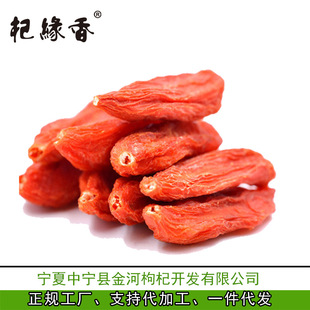 2024�������250��50g�Ќ�����^����������l���x�������t���