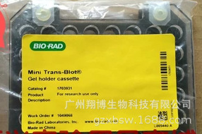 伯乐bio-rad 电泳转印夹Mini Gel Holder Cassette转膜夹1703931