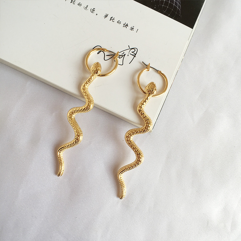 Nouvelles Boucles D&#39;oreilles Longues En Forme De Serpent display picture 1