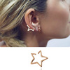 Fashionable neon accessory, earrings, European style, simple and elegant design