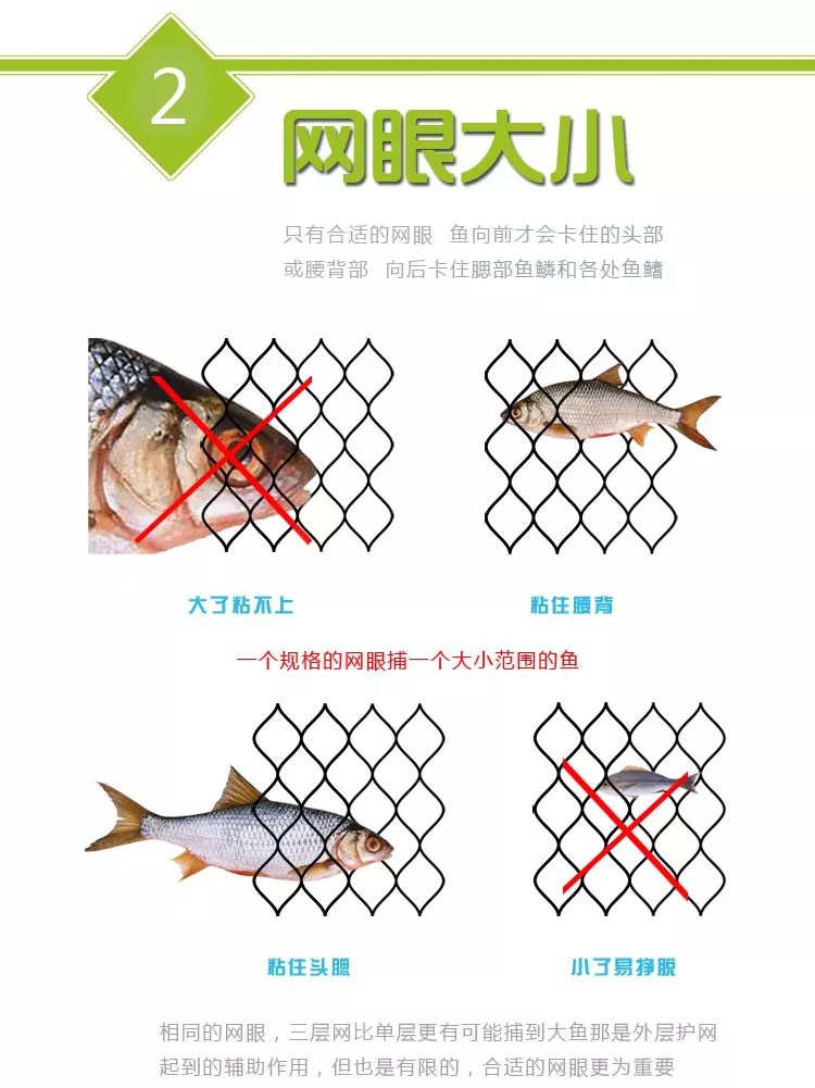 微信图片_2018080619300324