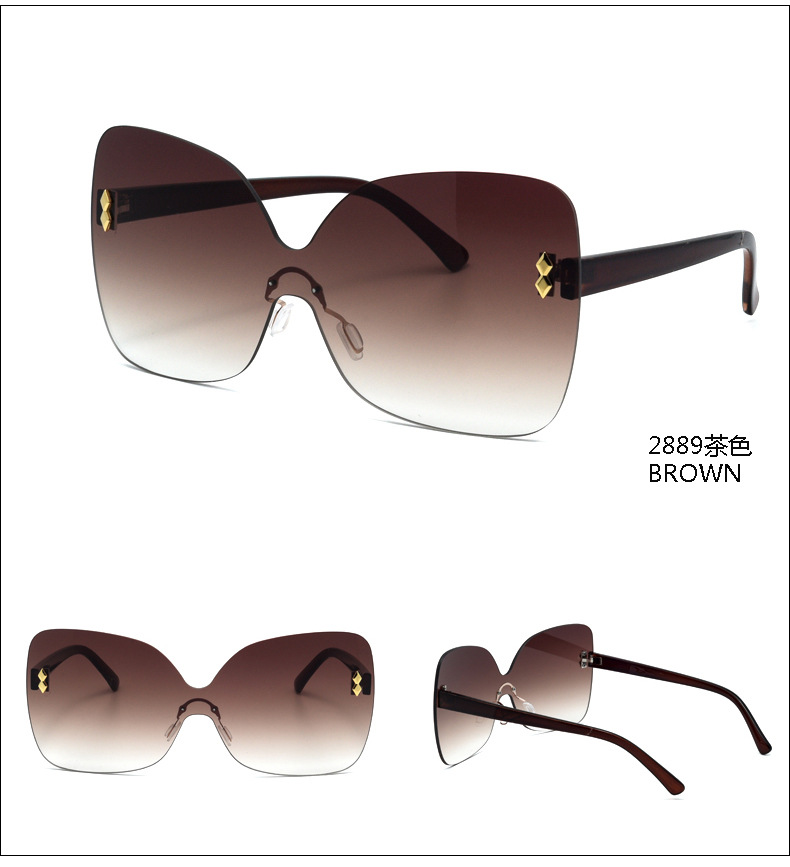 New Korean Simple Style Fashion Big Frame Sunglasses display picture 9