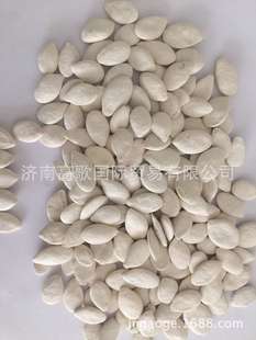 Заводская прямая продажа перца и белые тыквенные семена белые тыквы семена