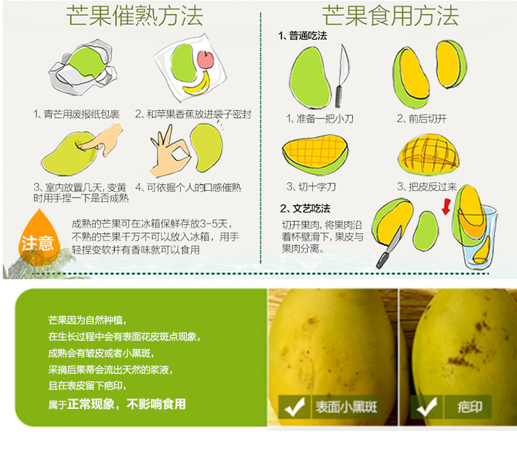 凯特芒果_15
